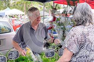 Senior male serving female customer at farmers market stall for