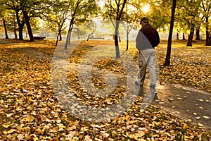 Senior male walks thoughtfully in park on colorful