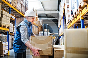 Senior male warehouse worker unloading boxes from a pallet truck.