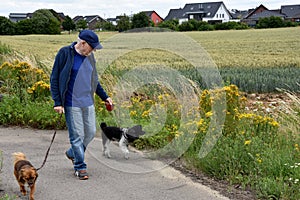 Senior man as dog-sitter