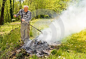 Senior man is burning dry branches in the garden