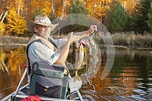 Senior man in a canoe holds up a stringer of walleyes on a late afternoon in the fall