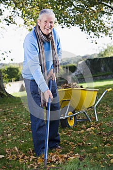 Senior man collecting leaves photo