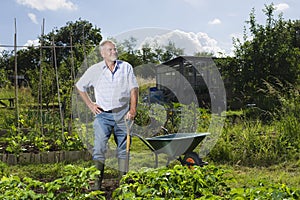 Hombre en comunidades jardín 