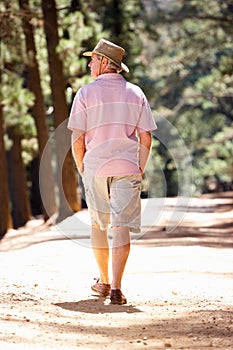 Senior man on country walk