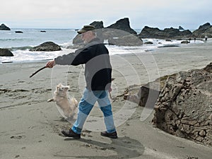 Senior man and dog on beach