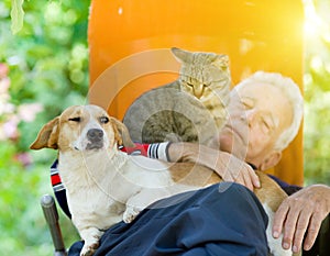 Senior man with dog and cat