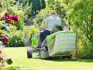 Senior man driving a tractor lawn mower in garden with flowers