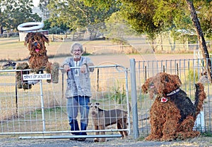 Senior man fence & gate & dog hay sculptures