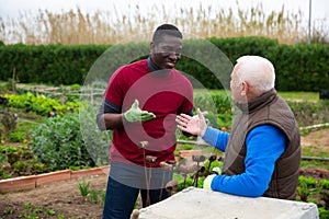 Senior man friendly talking to African neighbor