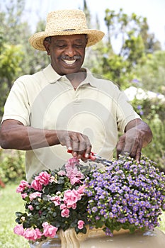 Senior Man Gardening