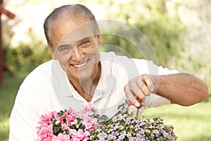 Senior Man Gardening