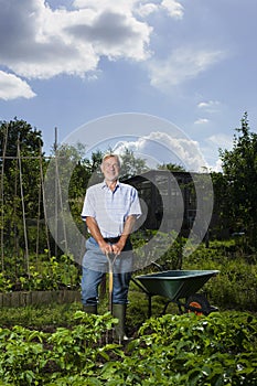 Senior Man Gardening