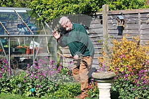 Senior man gardening in flower border waving.