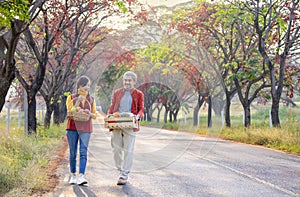 senior man,girl carrying box of harvested fruits walking along the street