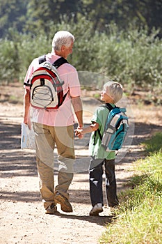 Senior man and grandson walking in country