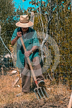 Senior man hand plowing in the field