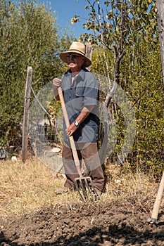 Senior man hand plowing in the field