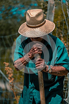 Senior man hand plowing in the field