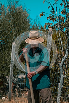 Senior man hand plowing in the field