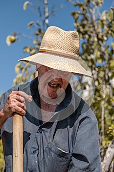 Senior man hand plowing in the field