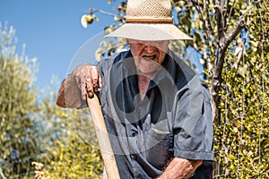 Senior man hand plowing in the field