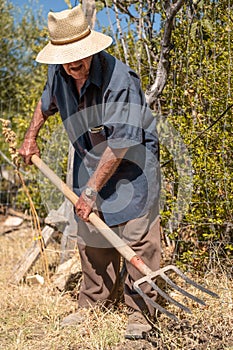 Senior man hand plowing in the field