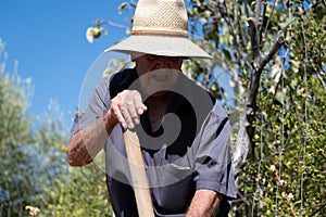 Senior man hand plowing in the field