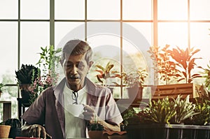 Senior man is having morning coffee while reading digital tablet in his houseplant garden at home