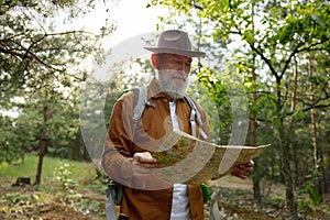 Senior man hiker looking in paper map searching rout in forest