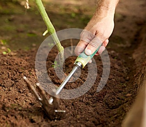 Senior man with hoe weeding garden bed