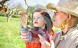 Senior man holding adorable little girl picking