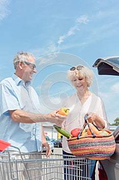 Senior man holding a shopping cart while looking at his wife with love