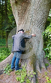 Senior man hugging a giant oak tree