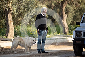 senior man in mask walking on the street in Cyprus with dog golden retriever and talk to man who stop while driving car.