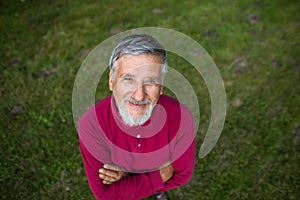 Senior man mowing his garden