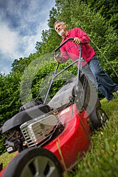 Senior man mowing the lawn