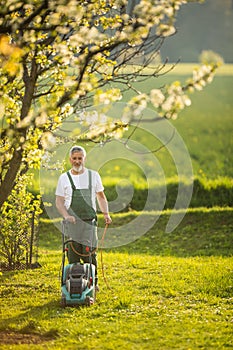 Senior man mowing the lawn