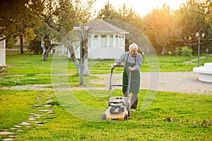 Senior man mowing lawn.