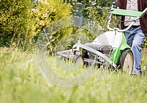 Senior man mowing the lawn with a lawnmower