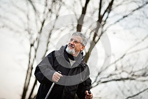 Senior man nordic walking,