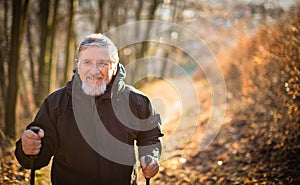 Senior man nordic walking