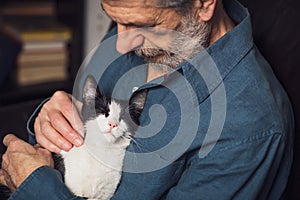 Senior man petting his cat on a sofa