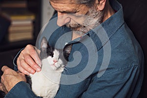 Senior man petting his cat on a sofa photo