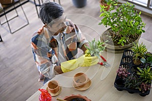 Senior man is planting with gardening tools on wooden floor, hobby and leisure concept