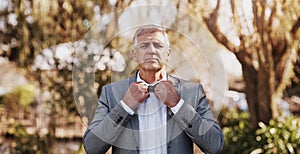 Senior man, portrait and bow tie in nature for wedding, pride and gray suit in garden for celebration. Male person