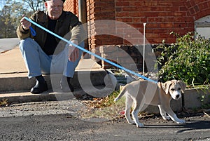 Senior man and puppy