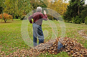 Senior Man Raking Leaves