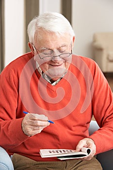 Senior Man Relaxing In Chair At Home