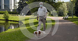 Senior man in safety mask walk with spaniel in summer park